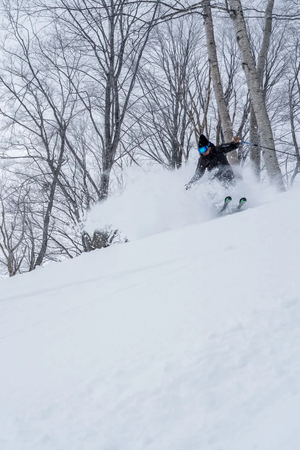 新雪が降った次の日のツリーランコース滑走