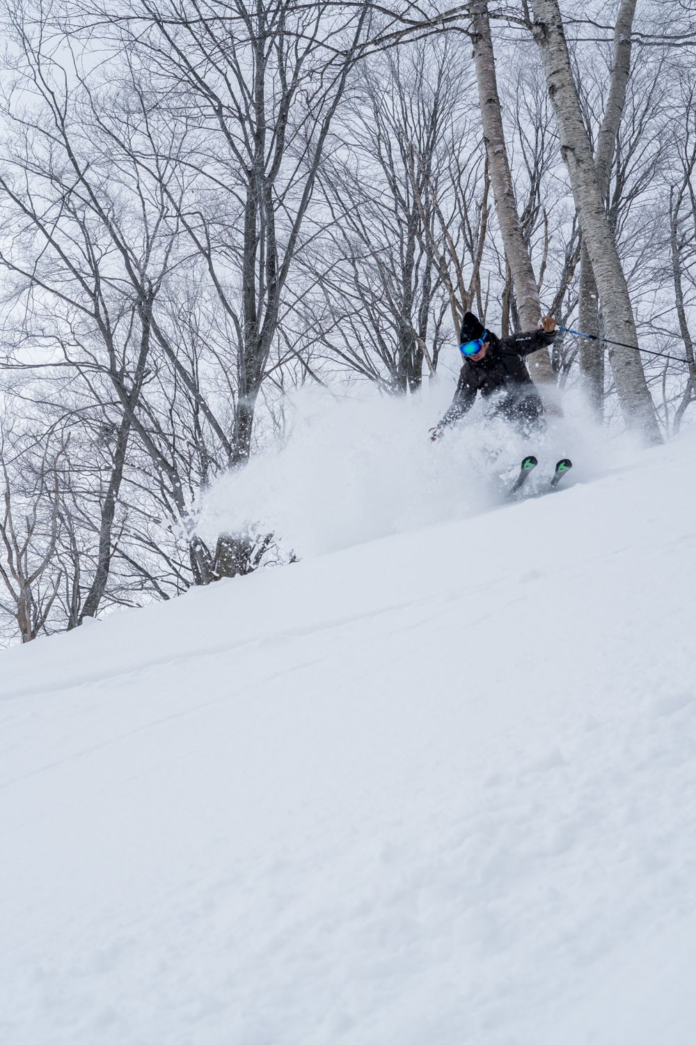 新雪が降った次の日のツリーランコース滑走